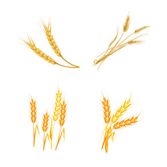 麦の穂のイラスト４パターン