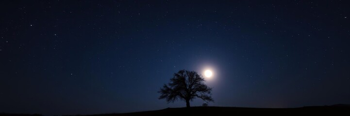Fototapeta premium The night sky is ablaze with stars as a tree stands alone in the foreground, silhouetted against a vibrant moonlit sky, autumn foliage, lunar light, nature