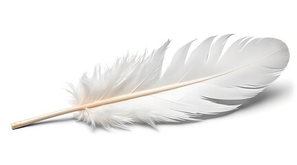Obraz premium white_feather_isolated_on_transparent_background