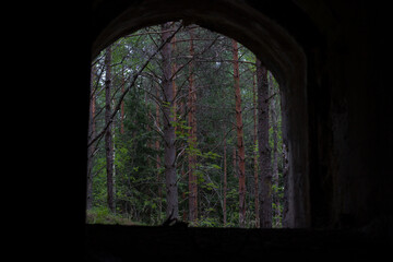 Abandoned stone ammunition storage cellar from 1916 in the forest. Monrepos Park. Vyborg.