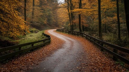 Symbolic road photography for storytelling visuals, blending paths with emotional depth.