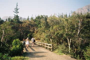 Fototapeta premium walk in the woods