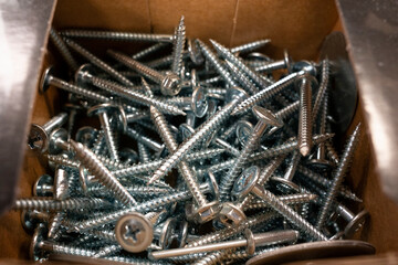 Wood screw in a paper box