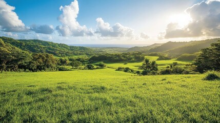 Fototapeta premium Lush green landscape under a bright sky with rolling hills and distant ocean view.