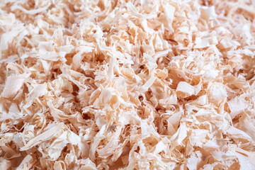 Close-up of wood shavings, with a detailed texture and natural lighting