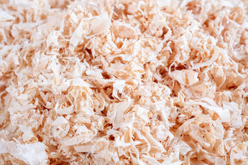 Close-up of wood shavings, with a detailed texture and natural lighting