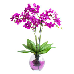Naklejka premium A vibrant arrangement of pink orchids in a clear vase, showcasing their delicate petals and lush green leaves.