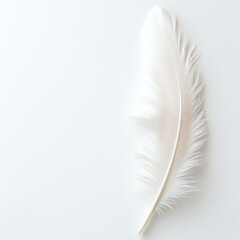 Obraz premium A delicate white feather resting on a smooth surface, embodying purity and simplicity.