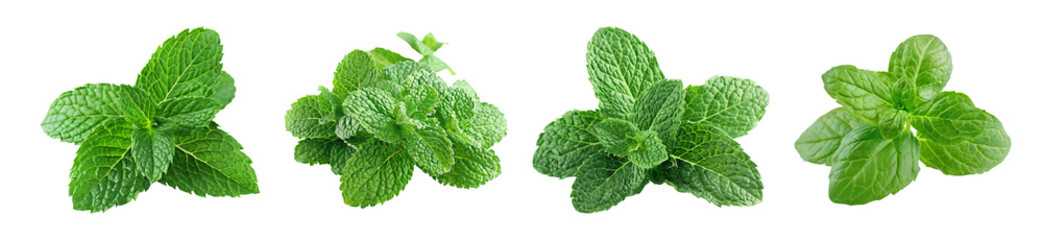 Fresh Mint Leaves Isolated Transparent Background PNG Image