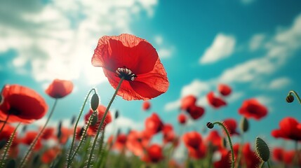 Blooming poppy flowers under the bright blue sky showcasing a picturesque nature landscape : Generative AI