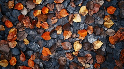 Colorful Fallen Autumn Leaves on Rock Surface for Natural Textured Background : Generative AI