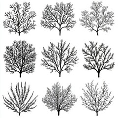 Obraz premium Nine Elegant Black and White Tree Silhouettes Botanical Illustrations for Design