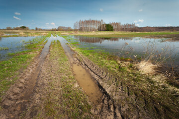 Dirt road and fields flooded with water, rural spring view