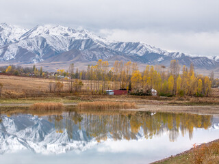 Autumn yellow trees and buildings on the shore of a lake, river or pond. Snow-capped mountains in...