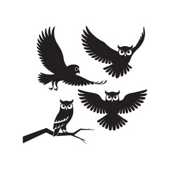 Obraz premium silhouette of a bird