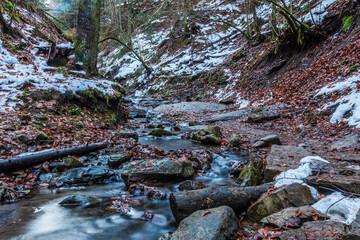 Landscapes - Forest - Europe, Romania, Suceava region 