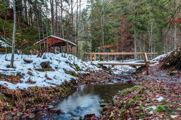 Landscapes - Forest - Europe, Romania, Suceava region 