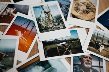 A nostalgic collection of instant photos capturing various moments in a sunlit rural setting