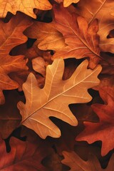 Fototapeta premium A close-up of autumn leaves in shades of orange and brown, creating a warm, seasonal feel.