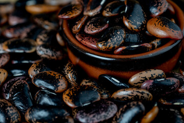 Phaseolus coccineus, known as runner bean, scarlet runner bean, or multiflora bean, Fabaceae.