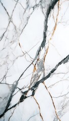 A close-up of elegant marble with gray and gold veining on a white background.