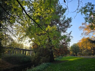 Fototapeta premium Berlin Volkspark Pankow