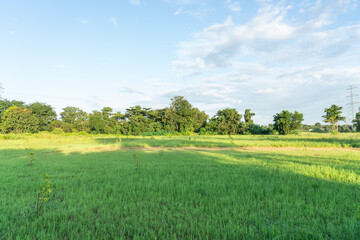 Landscape photo of meadow, sky and sunshine