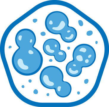 PrintIcon 5 probiotic strains of a microorganism illustration.
Ideal for medical and institutional materials
