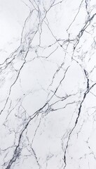 Obraz premium A close-up of white marble with gray veining, showcasing its natural texture and pattern.