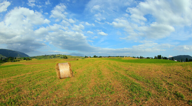 view of a freshly cut hay field and a round bale of hay used as feed for farm animals