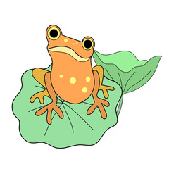 frog on a lotus leaf doodle cartoon art