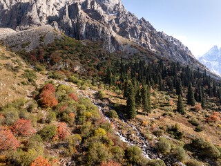 A mountain river, a stream meanders on the slope of the mountain. Summer landscape, meadow and fir...