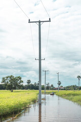  flooded rice field in Thailand, showcasing the reflection of the sky on the water's surface. This image captures the reality of agricultural life, natural irrigation, and the resilience of local farm