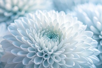 Obraz premium Modern White Abstract Texture Background Design - A Tilt-Shift Photography Approach for Contemporary Art and Design Projects, Perfect for Digital Media and Print Use