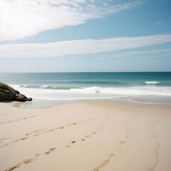 Obraz premium beach and sea