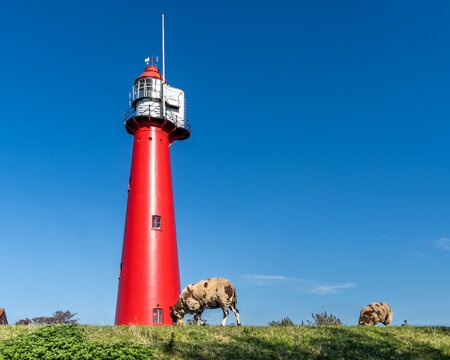 A vibrant red lighthouse stands against a clear blue sky on a grassy sea dike in Hoek van Holland.