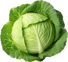 Obraz premium Green cabbage transparent PNG, isolated, cut-out