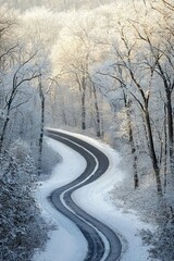 Obraz premium Winding Snow Covered Road in Winter Forest Landscape Photography