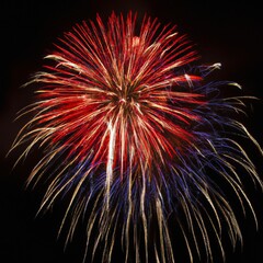 Fireworks In The Night Sky