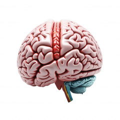 3D Render Brain Neuroscience Element Icon Cérebro Neurociência PNG