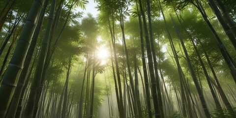 Fototapeta premium A sense of tranquility pervades the bamboo forest as the sun shines through the leaves, earthy tones, rustling sounds