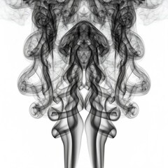 Fototapeta premium Black smoke/ink background