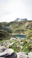 Ercina lake and the peaks of europe reflecting in the water in asturias