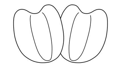 ハトムギの種子（ヨクイニン）の線画