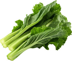 Mustard greens transparent PNG, isolated, cut-out