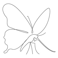 Butterfly continuous one line art with black and white background