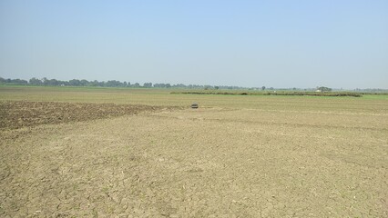 Obraz premium Agriculture green land from India 