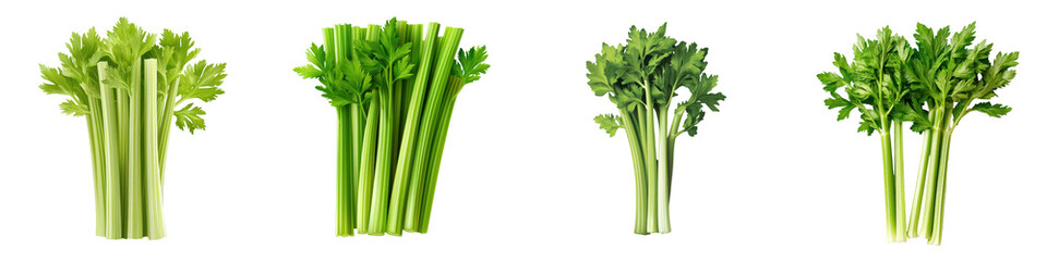 Vibrant Fresh Green Celery Stalks Bunch Vegetable Element for Healthy Eating Cooking and Culinary
