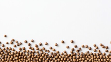A scattered arrangement of coriander seeds on a white background.