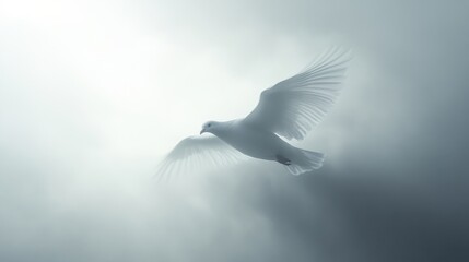 Fototapeta premium Majestic White Bird Gliding Through Soft Gray Clouds in Sky